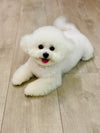 Winnie